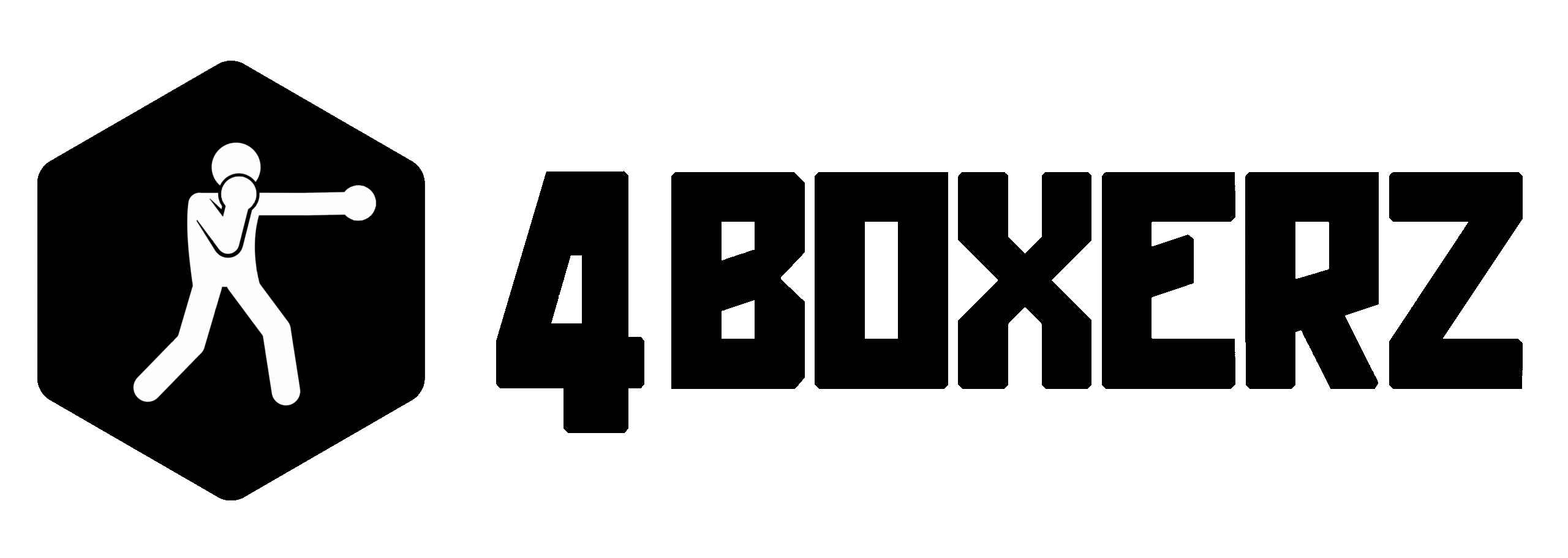 4Boxerz logo image